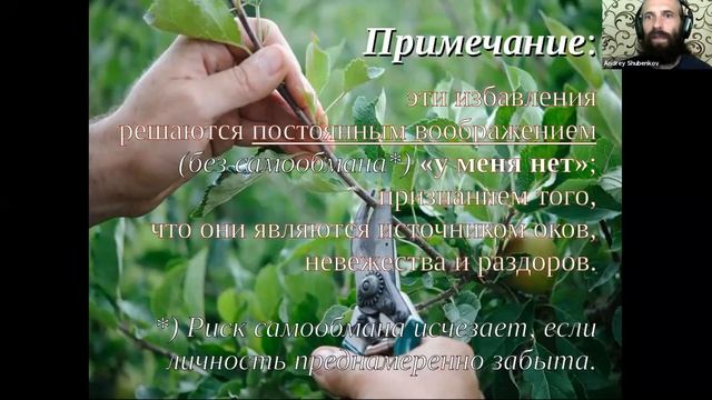 [005]. Доклад "СХЕМА МЕДИТАЦИИ Е.П.БЛАВАТСКОЙ". Андрей Шубенков (20.06.2020).Теософия смотреть онлайн