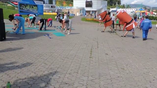 Сосиски занимаются йогой смотреть онлайн