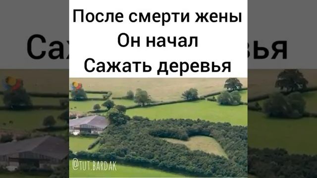 После смерти жены Он начал Сажать деревья смотреть онлайн