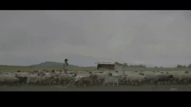 AGIR. REAGIR. DECIDIR. смотреть онлайн