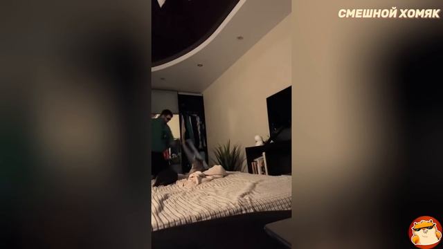 РЖАЛ ДО СЛЕЗ! 41 Минута ОТБОРНЫХ Русских приколов 2024 смотреть онлайн