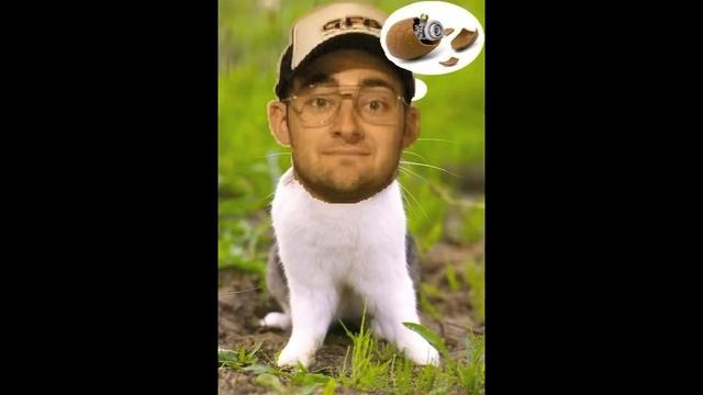 Falling For Marty - MCM Forums Most Popular Thread смотреть онлайн