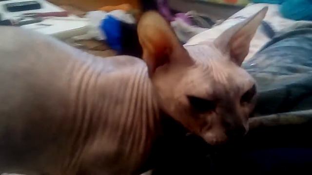 #сонька смотреть онлайн