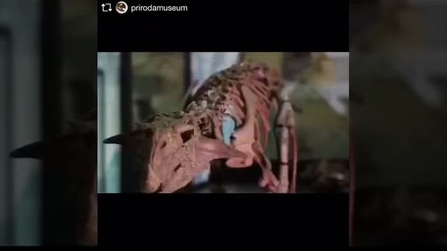 20180516-Ночь музеев - 2018 смотреть онлайн