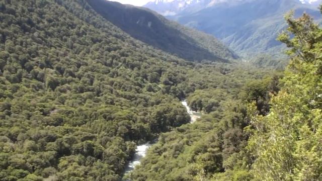 5 Вест Кост смотреть онлайн