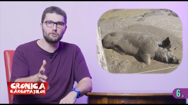 10 lucruri despre porci смотреть онлайн