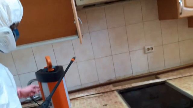 Обработка от тараканов | Дезинфекционная компания Зеленый луг смотреть онлайн