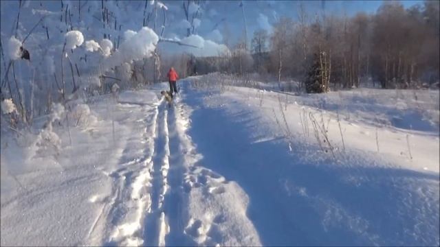Ольга,Колька,Нюрка,зимний лес и...самолёты... смотреть онлайн