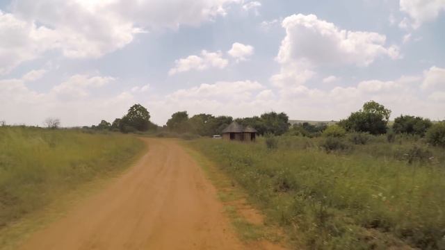 WILDLIFE PHOTOGRAPHY IN AFRICA - SAFARI PHOTO TIPS смотреть онлайн