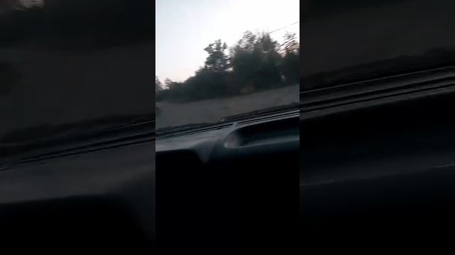 Во це зверь смотреть онлайн