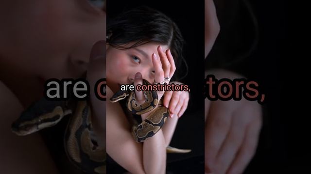 The World's Longest Snake Discover the 33ft Reticulated Python! смотреть онлайн