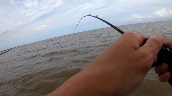 Tons of Redfish but not the right size! (Try the gold spoon gulp combo now!!)