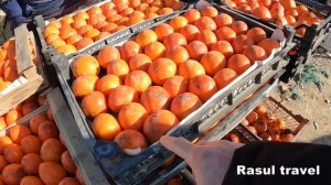 Манас базар 1 Декабря 2022 год. Всем салам люди добрые)) #Манас #manas #dagestan