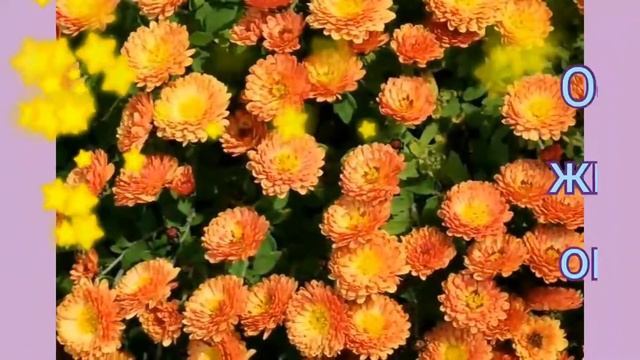 С ДНЕМ РОЖДЕНИЯ //МАМА С ДНЕМ РОЖДЕНИЯ//ПОЗДРАВЛЕНИЯ //МАМЕ В ДЕНЬ РОЖДЕНИЯ смотреть онлайн