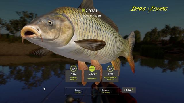 Русская рыбалка 4.🎣🦈 р. Ахтуба 🐋🐋💦 ГДЕ ЛОВИТ LATORSO 👀 смотреть онлайн