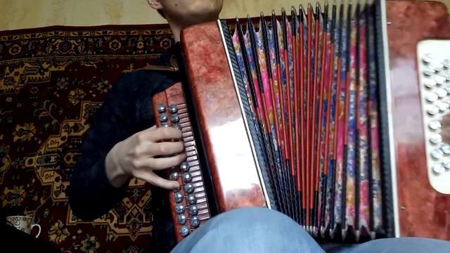 Доля Моя.Из репертуара Натальи Могилевской.Мелодия на гармони. смотреть онлайн
