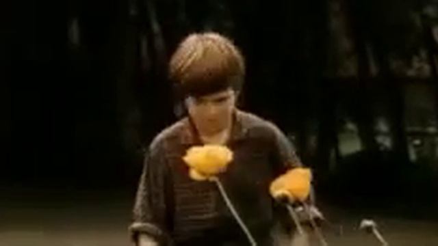 Магия черная и белая 1983 смотреть онлайн