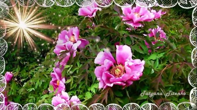 Теплый Май С.Чекалин Warm May S.Chekalin смотреть онлайн