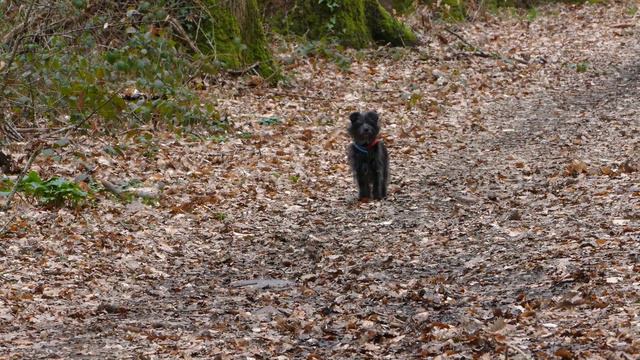 2020 -TEST LUMIX - FZ1000 - Micro BOYA BY SM80 - 4K 2160p смотреть онлайн
