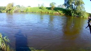 Когда лучше ловить ГОЛАВЛЯ, утром, днем или вечером. Мощные поклевки, аж крючки не выдерживают.