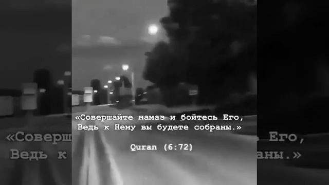 Истинная Религия Ислам смотреть онлайн