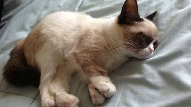 Vl@d - Гребаная жизнь смотреть онлайн