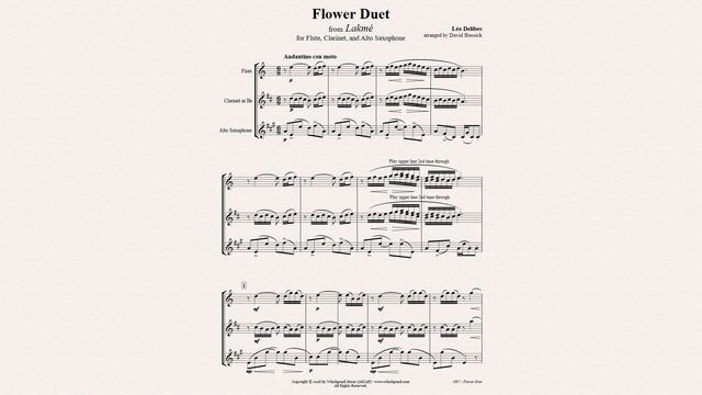 Flower Duet for Flute, Clarinet, Sax Trio смотреть онлайн