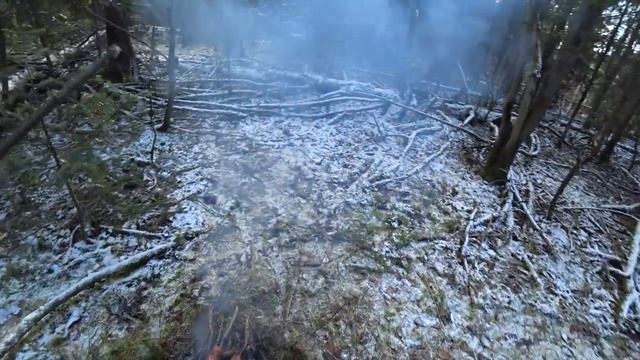 Жарим сардельки в лесу и пьем чаёк. 9 ноября 2019г смотреть онлайн