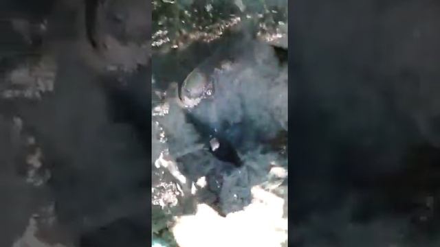 Биоценоз бактерий на ершах для биозагрузки в системе автономной канализации ЭКО ЕНОТ ПРОФИ смотреть онлайн