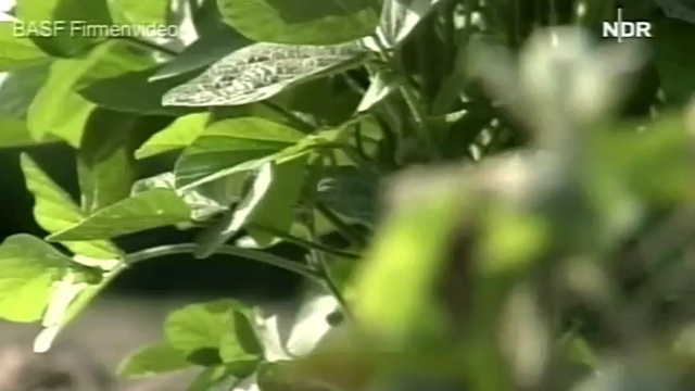 Risiko Gen-Nahrung? pt1 смотреть онлайн