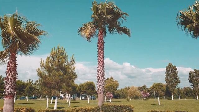 Сколько стоит отдохнуть на пляже в Анаклии и сходить в аквапарк смотреть онлайн