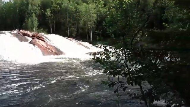ШОК Хищники нападают в заполярье смотреть онлайн