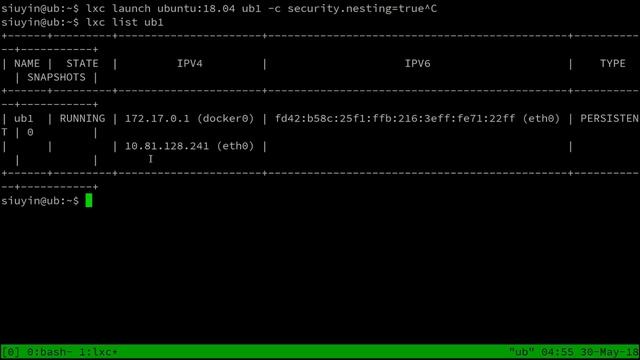 Running docker within an LXD container смотреть онлайн