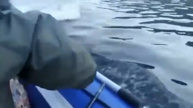 Касатки ... смотреть онлайн