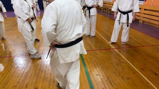 Кёкусинкай / Учебно-тренировочные сборы СЗФО-2022 / Пинан соно ён и Пинан соно го / Сихан Танюшкин смотреть онлайн