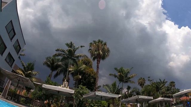 Конго. Отдых по путёвке. смотреть онлайн