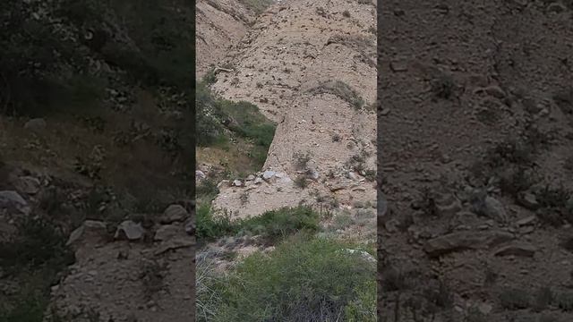 4 июня 2023 г. смотреть онлайн