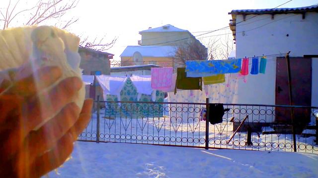 ГОЛУБИ КАЗАХСТАНА, МОЛОДОЙ РАБОЧИЙ БУСАРЬ, МАЙСКИЙ, смотреть онлайн