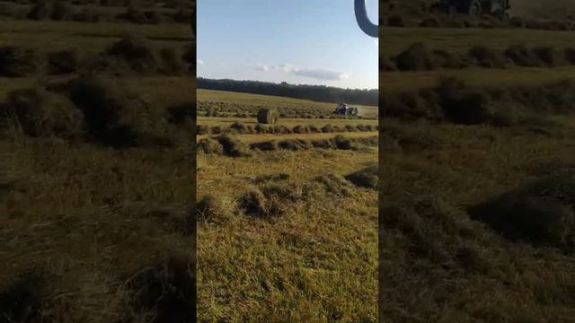 тюковка люцерны. сбор в валки. смотреть онлайн