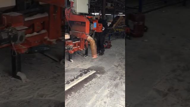 Опилки после ленточной пилорамы смотреть онлайн