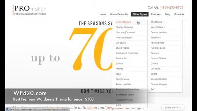 ProMotion Business Wordpress Theme Demo смотреть онлайн