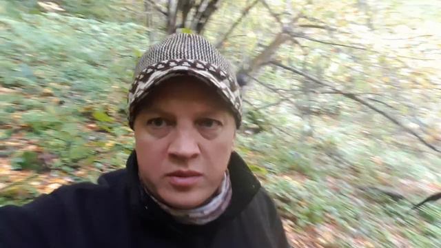 Привет с Кавказа, а точнее заповедника смотреть онлайн