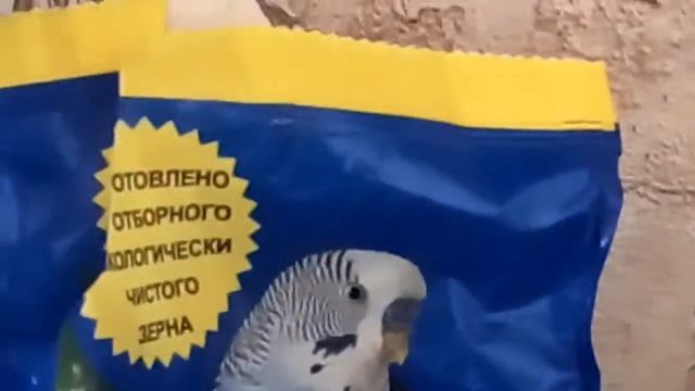 Определение возраста смотреть онлайн