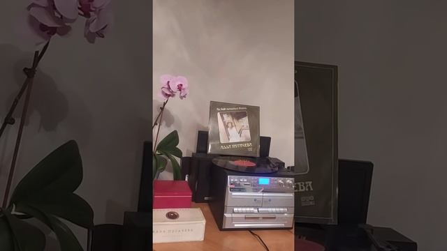 AŁŁA PUGACZOWA Milion Alyh Roz АЛЛА ПУГАЧЕВА Миллион Алых Роз