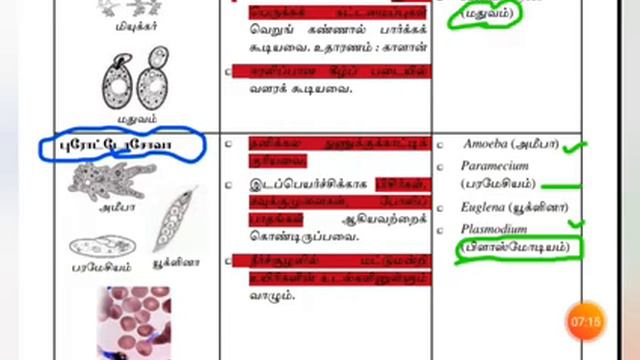 Science|| Grade 9|| Chapter 1|| Applications of Microorganisms|| Exams Efficient смотреть онлайн
