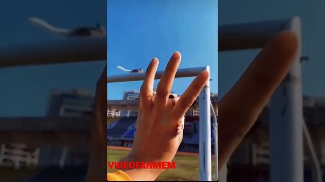 БЕЛКА-ЛЕТЯГА! Летит прямо на руку! #shorts #белка #летяга #животные Подпишись! смотреть онлайн