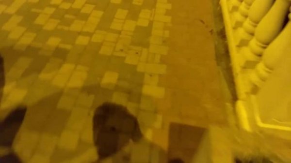 новопятигорское озеро 2021