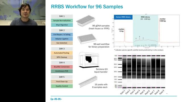 DNA methylation analysis by multiplexed reduced representation bisulfite sequencing (RRBS) смотреть онлайн