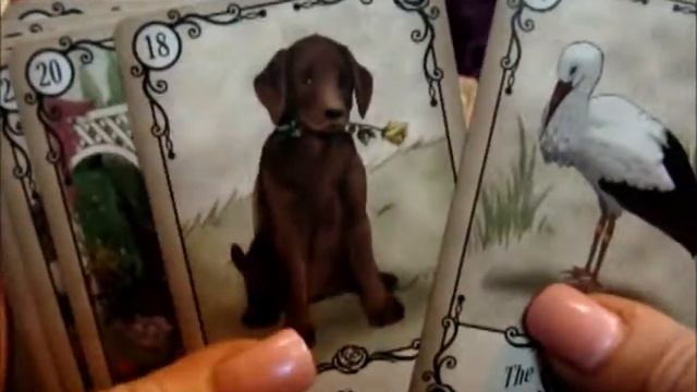 Under the Roses Lenormand: Deck Review смотреть онлайн