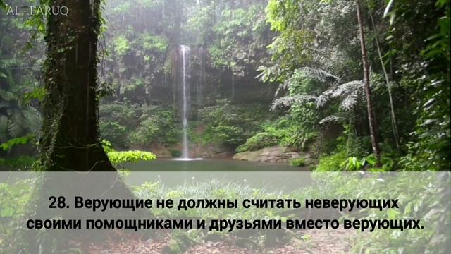 Сура 3 "Аль - Имран" аяты 23 - 32. Ислам Субхи смотреть онлайн
